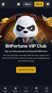 Bitfortune Christmas Calendar 2026 Unwrap Festive Surprises! -1182299355