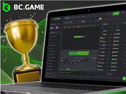 The Rise of Online Gaming BC.Game in the Netherlands