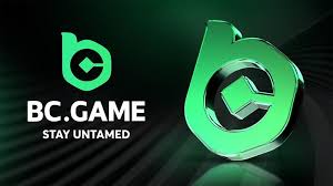 The Rise of Online Gaming BC.Game in the Netherlands